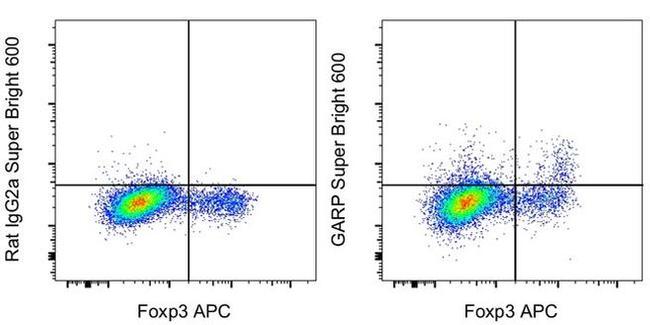 GARP Antibody in Flow Cytometry (Flow)