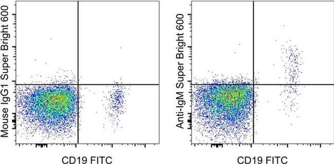 IgM Antibody in Flow Cytometry (Flow)