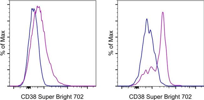 CD38 Antibody in Flow Cytometry (Flow)