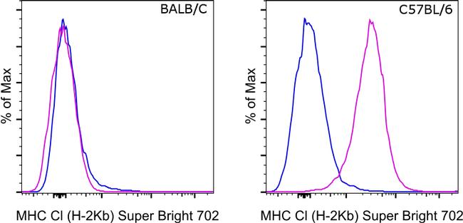 MHC Class I (H-2kb) Antibody in Flow Cytometry (Flow)