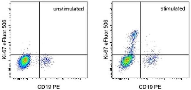 Ki-67 Antibody in Flow Cytometry (Flow)