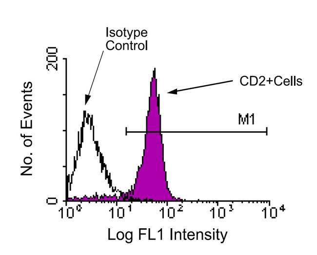 CD2 Antibody in Flow Cytometry (Flow)