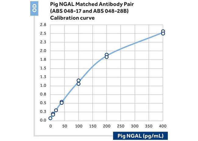 NGAL Antibody in ELISA (ELISA)