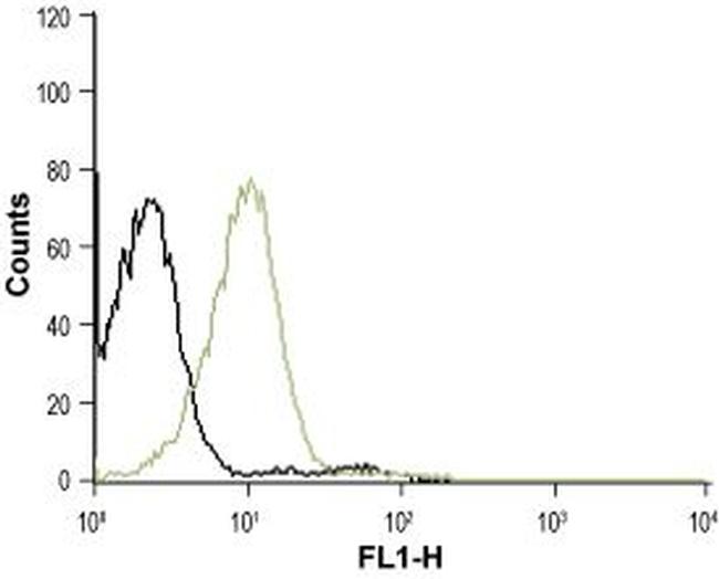 CXCR4 (extracellular) Antibody in Flow Cytometry (Flow)