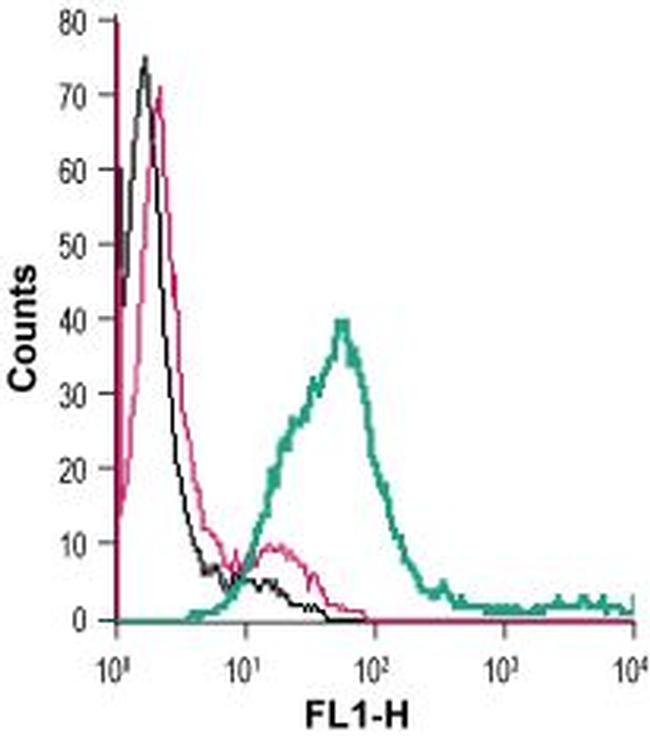 CRF1/CRHR1 (extracellular) Antibody in Flow Cytometry (Flow)