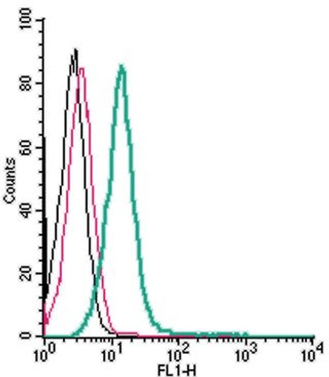 CRLR/CALCRL (extracellular) Antibody in Flow Cytometry (Flow)