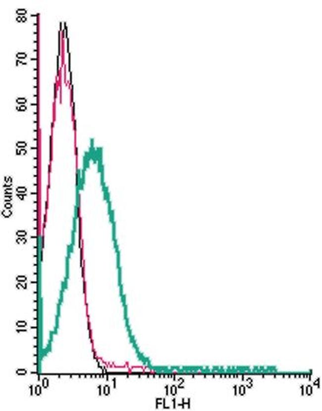 EphA1 (extracellular) Antibody in Flow Cytometry (Flow)