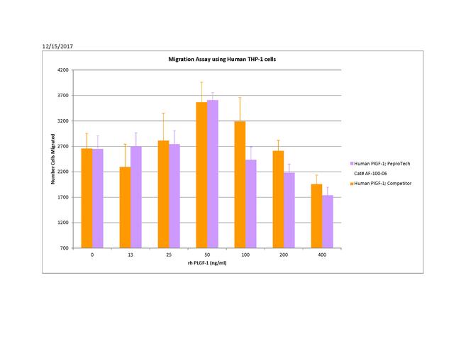 Human PlGF-1, Animal-Free Protein in Functional Assay (Functional)