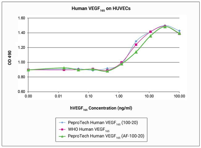 Human VEGF-165, Animal-Free Protein in Functional Assay (Functional)