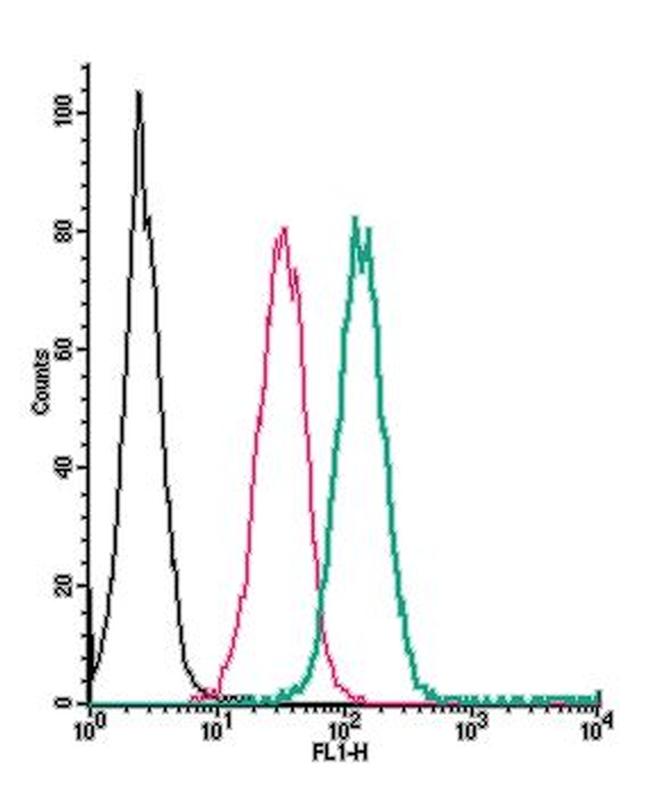 GABA(B) Receptor 1 (extracellular) Antibody in Flow Cytometry (Flow)