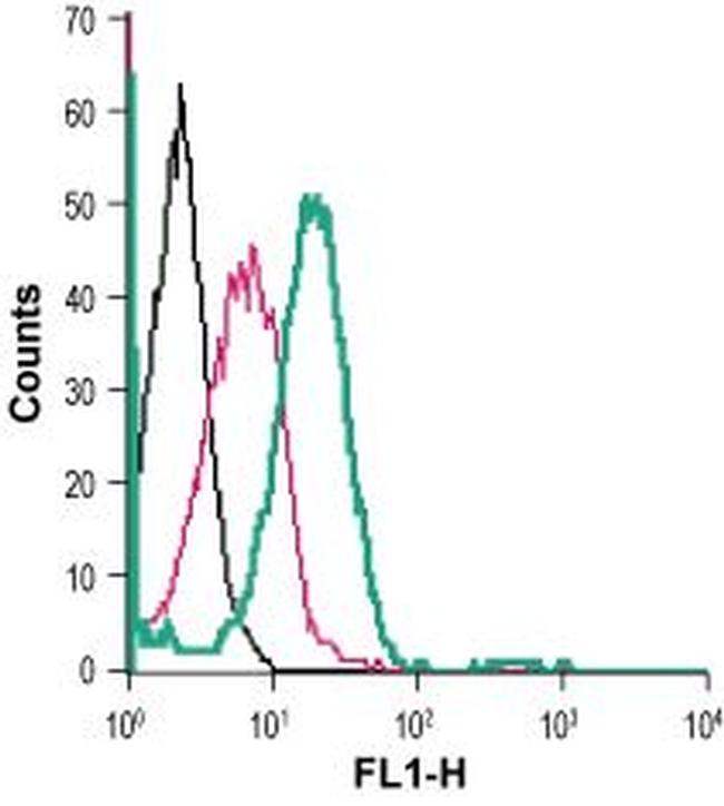 GLUT3 (extracellular) Antibody in Flow Cytometry (Flow)