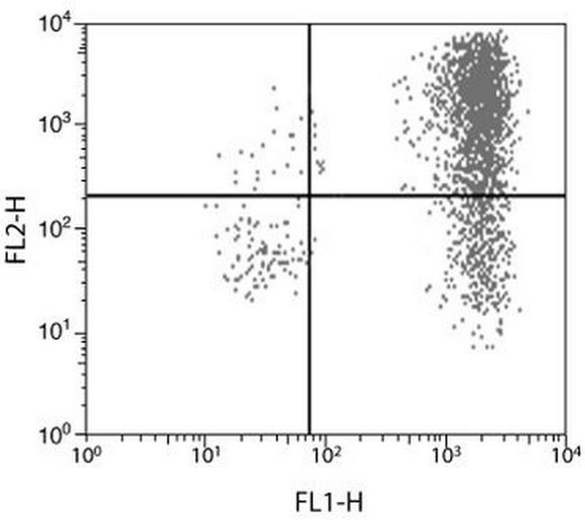 IL-6 Antibody in Flow Cytometry (Flow)