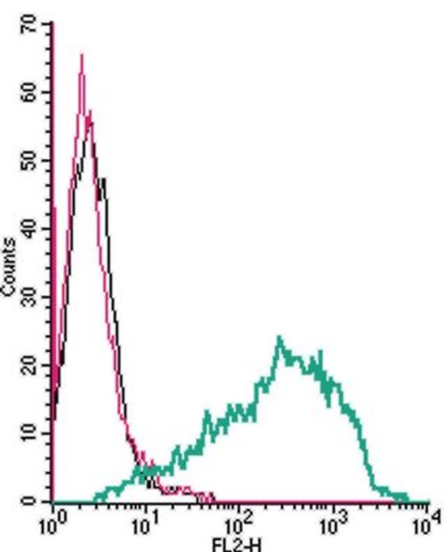 Serotonin Transporter (SERT) (extracellular) Antibody in Flow Cytometry (Flow)