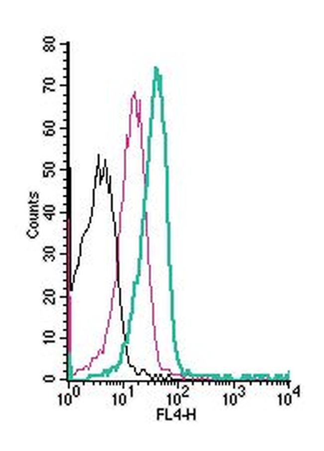 MCT1 (SLC16A1) (extracellular) Antibody in Flow Cytometry (Flow)