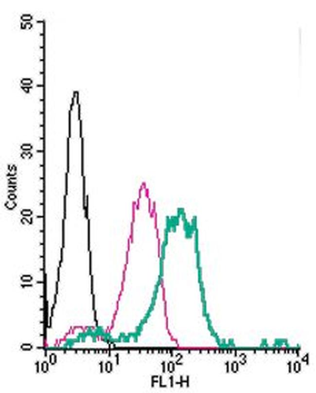 Nogo Receptor (extracellular) Antibody in Flow Cytometry (Flow)