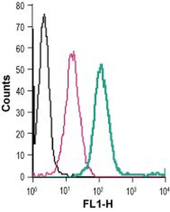 Sortilin (extracellular) Antibody in Flow Cytometry (Flow)