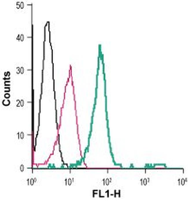 TrkB (extracellular) Antibody in Flow Cytometry (Flow)