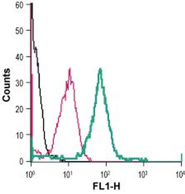 xCT/SLC7A11 (extracellular) Antibody in Flow Cytometry (Flow)