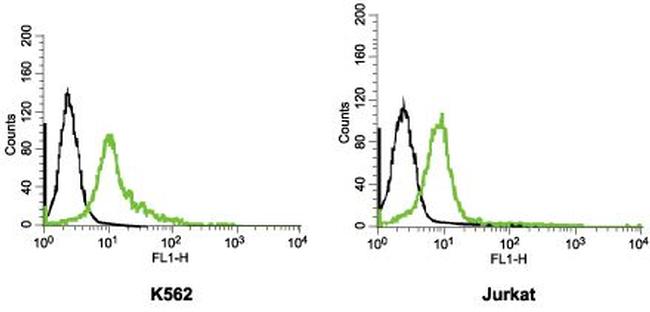 KCNH2 (HERG) (extracellular) Antibody in Flow Cytometry (Flow)