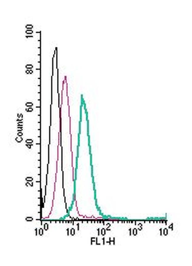 KV1.5 (KCNA5) (extracellular) Antibody in Flow Cytometry (Flow)