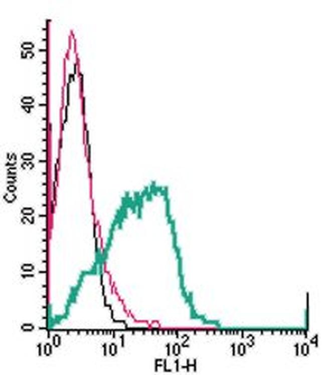 P2Y1 Receptor (extracellular) Antibody in Flow Cytometry (Flow)