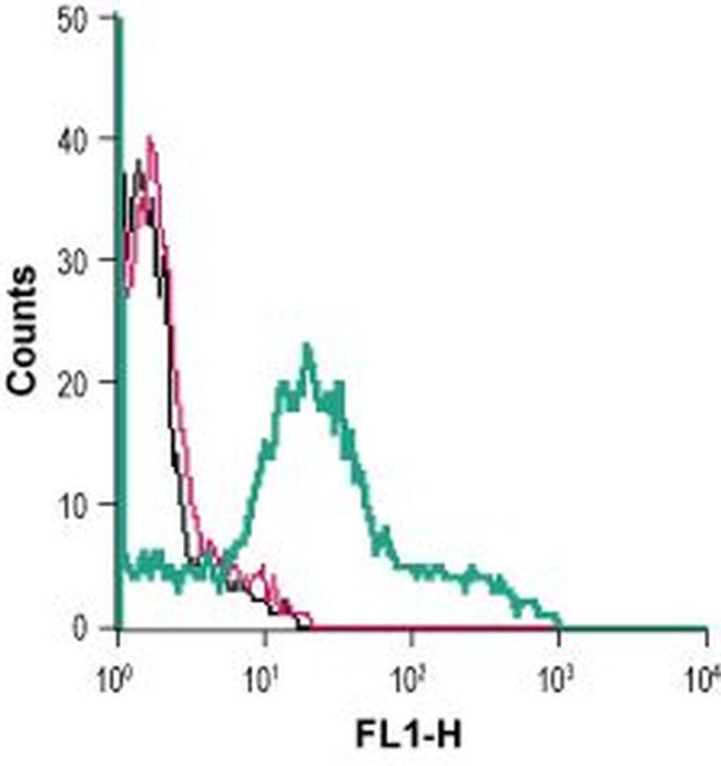 P2X1 Receptor (extracellular) Antibody in Flow Cytometry (Flow)