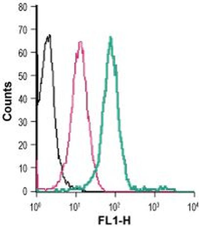 P2Y2 Receptor (extracellular) Antibody in Flow Cytometry (Flow)