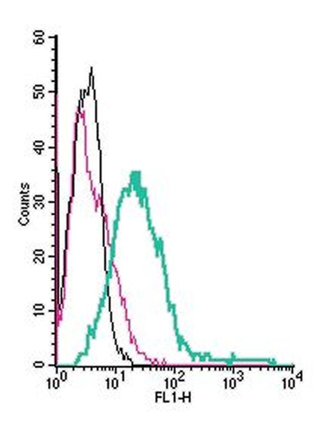 5HT7 Receptor/HTR7 (extracellular) Antibody in Flow Cytometry (Flow)