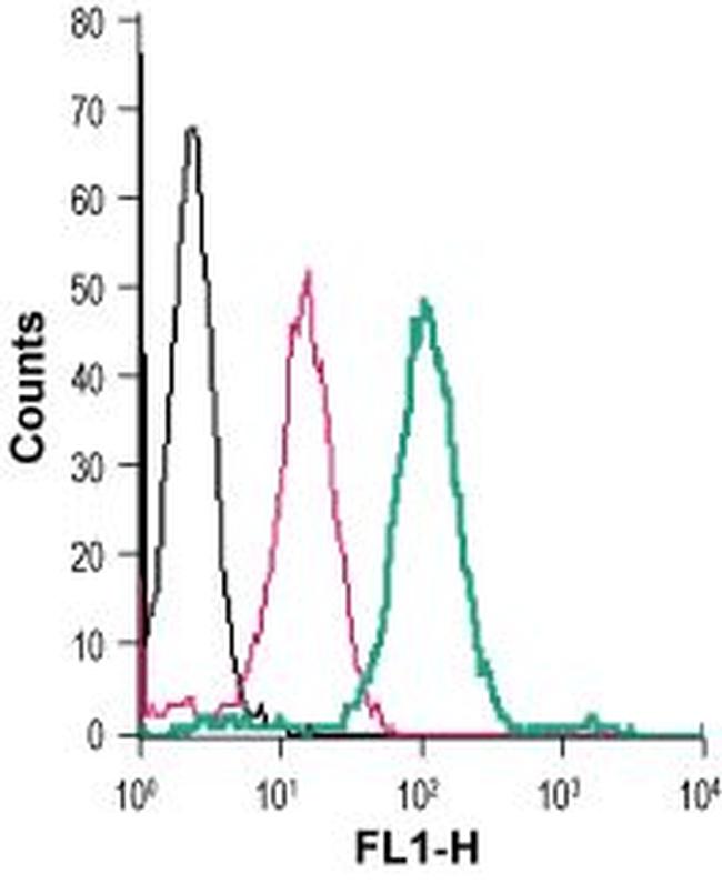 ZIP8 (SLC39A8) (extracellular) Antibody in Flow Cytometry (Flow)