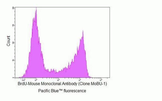 BrdU Antibody in Flow Cytometry (Flow)