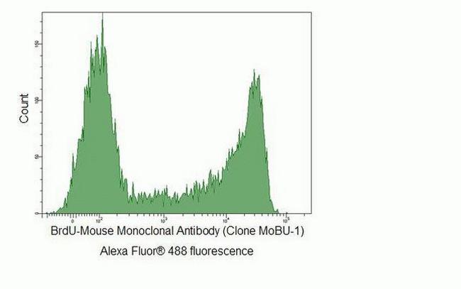 BrdU Antibody in Flow Cytometry (Flow)