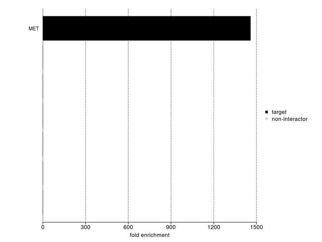 c-Met Antibody