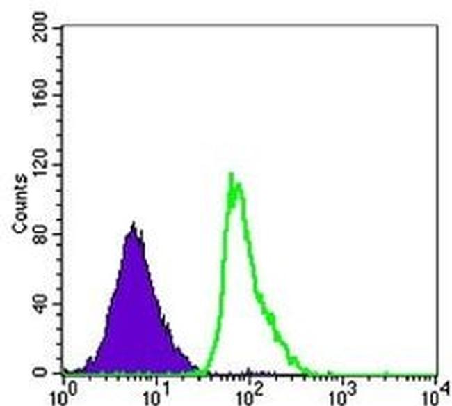 CD23 Antibody in Flow Cytometry (Flow)