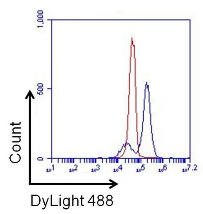 CD38 Antibody in Flow Cytometry (Flow)