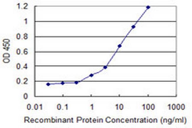 ACTN4 Antibody in ELISA (ELISA)