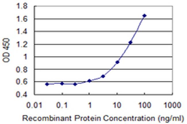 ADORA3 Antibody in ELISA (ELISA)