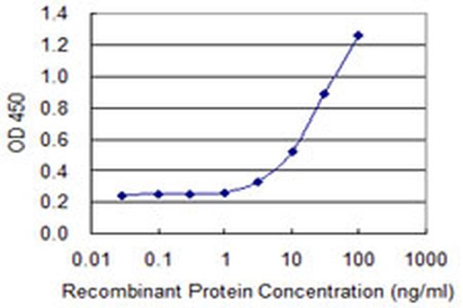 AK2 Antibody in ELISA (ELISA)