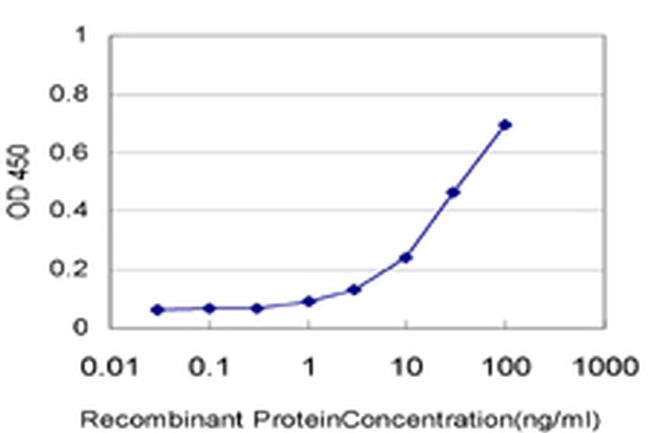 ALDH2 Antibody in ELISA (ELISA)