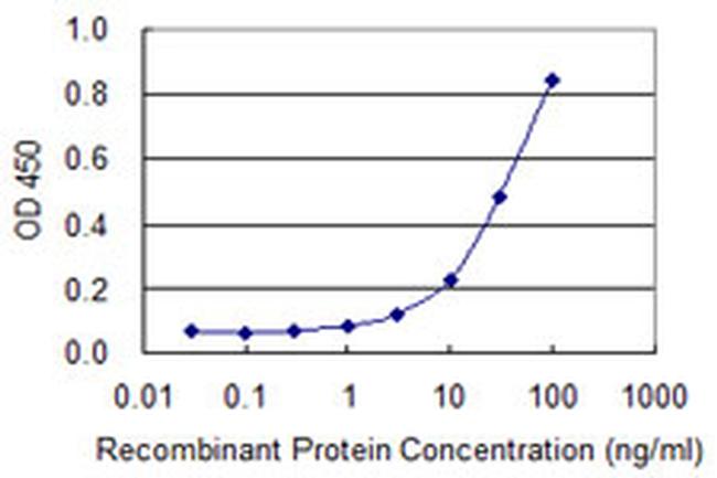 AMY2B Antibody in ELISA (ELISA)