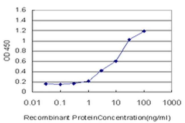 SLC25A6 Antibody in ELISA (ELISA)