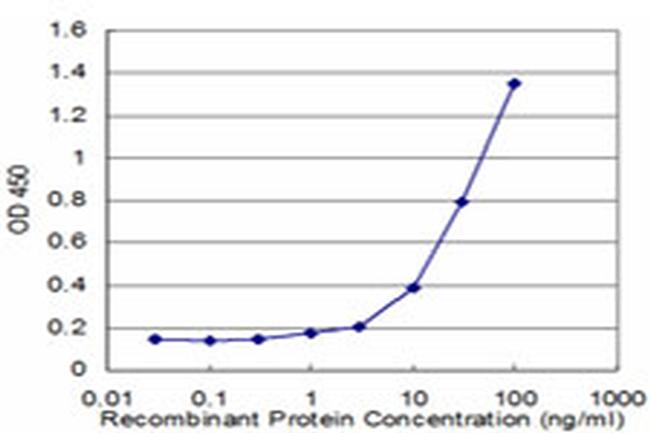 RHOG Antibody in ELISA (ELISA)