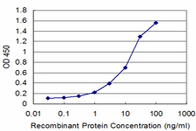 ATF4 Antibody in ELISA (ELISA)