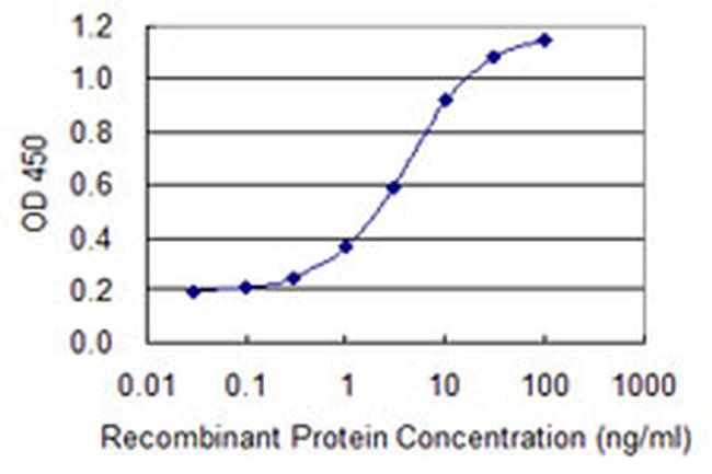 ATF4 Antibody in ELISA (ELISA)