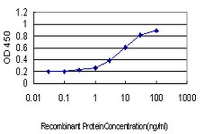 ATP2B1 Antibody in ELISA (ELISA)