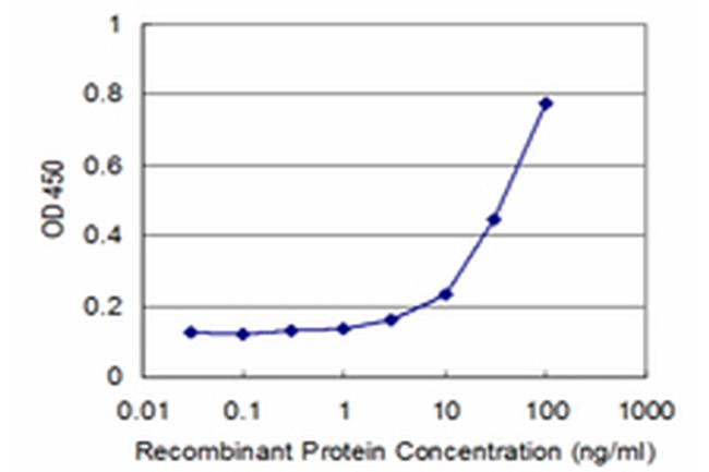 BMPR2 Antibody in ELISA (ELISA)