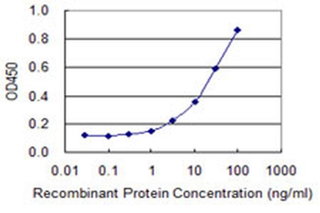 BMPR2 Antibody in ELISA (ELISA)