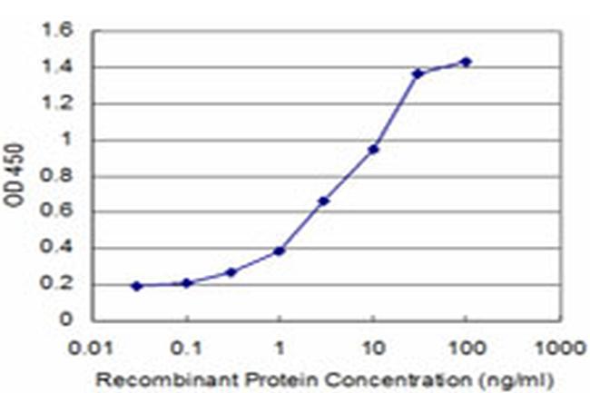 BRAF Antibody in ELISA (ELISA)