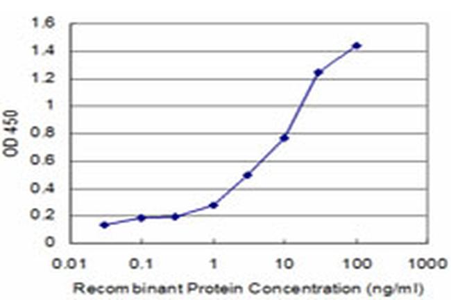 BRAF Antibody in ELISA (ELISA)