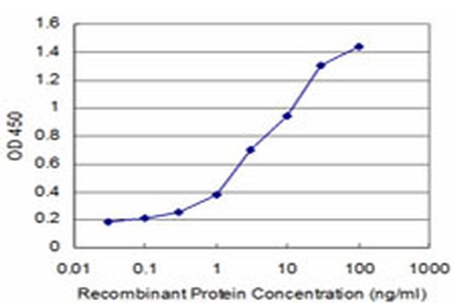 BRAF Antibody in ELISA (ELISA)