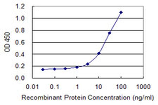 BRAF Antibody in ELISA (ELISA)